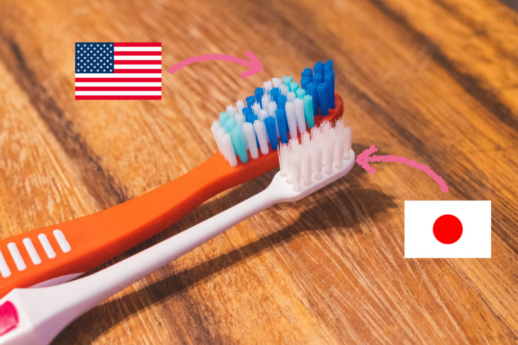 歯ブラシの日米比較